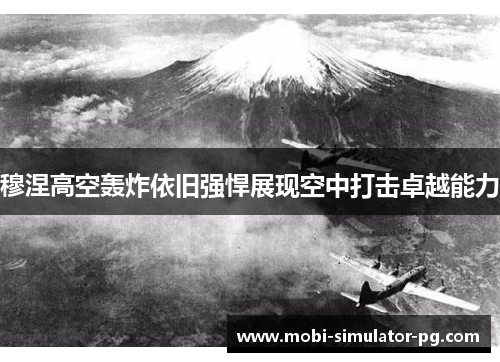 穆涅高空轰炸依旧强悍展现空中打击卓越能力